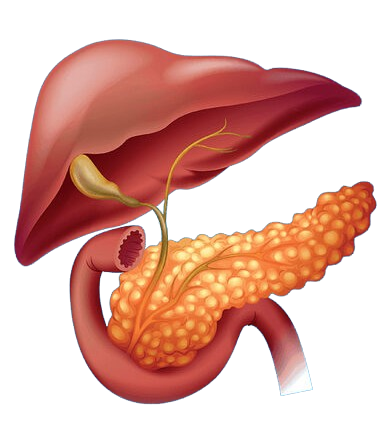 Chronic Pancreatitis treatment in Bangalore