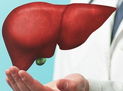 Deceased, Living Donor Liver Transplantation in Bangalore